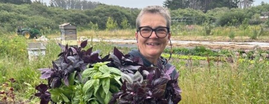 Come Harvest with TOP at HEAL farm!